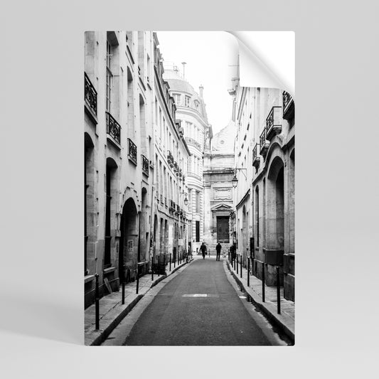 SEGRET PATHWAYS SVELATI Poster verticale staccabile e attaccabile