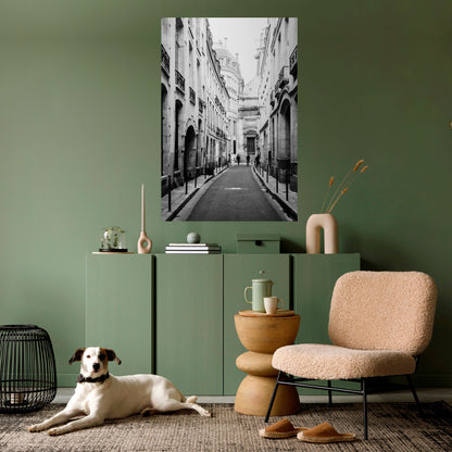 SEGRET PATHWAYS SVELATI Poster verticale staccabile e attaccabile