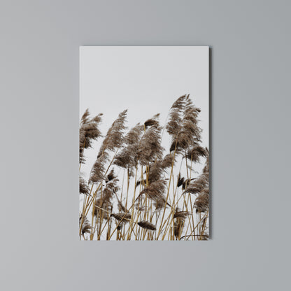DANCE OF REEDS Stampa su Tela Verticale