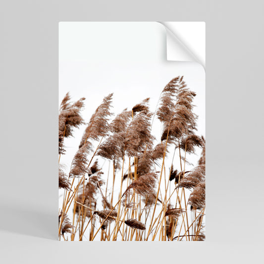 DANZA DELLE CANNE Poster verticale staccabile e attaccabile