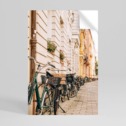PARCO CICLISTICO URBANO Poster verticale staccabile e attaccabile