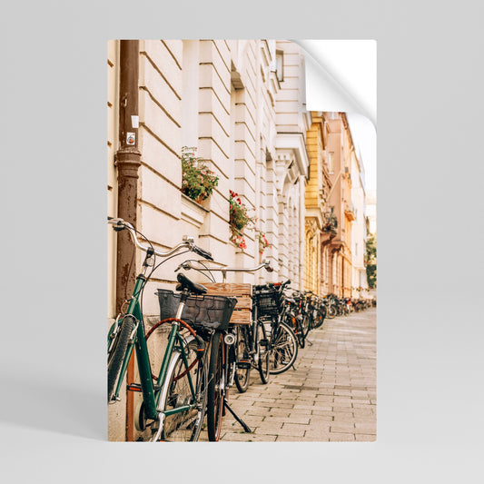 PARCO CICLISTICO URBANO Poster verticale staccabile e attaccabile