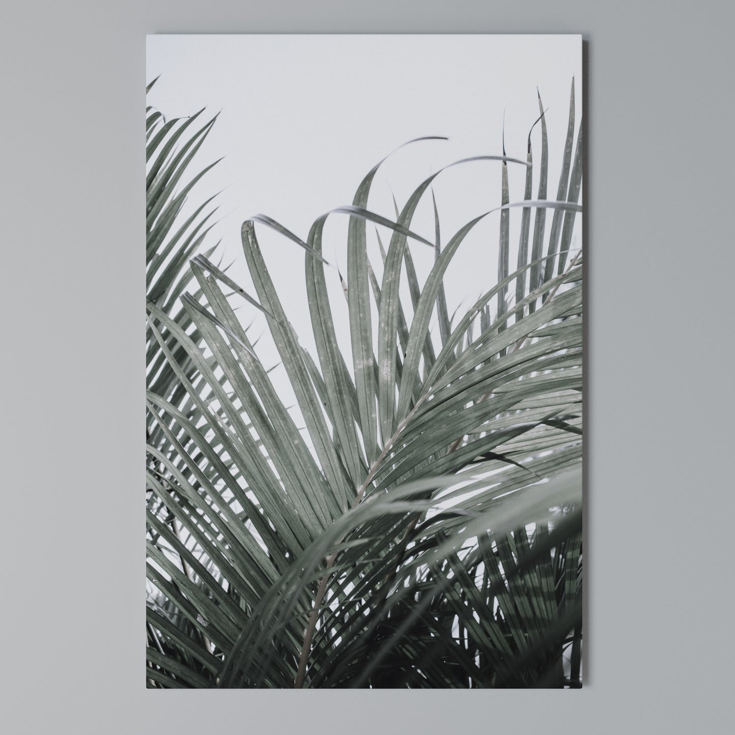 PALM WHISPERS Stampa su Tela Verticale
