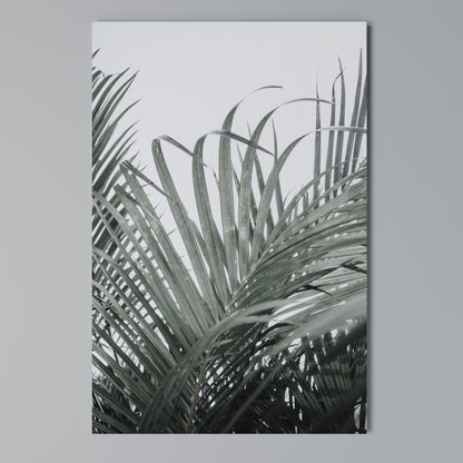 PALM WHISPERS Stampa su Tela Verticale