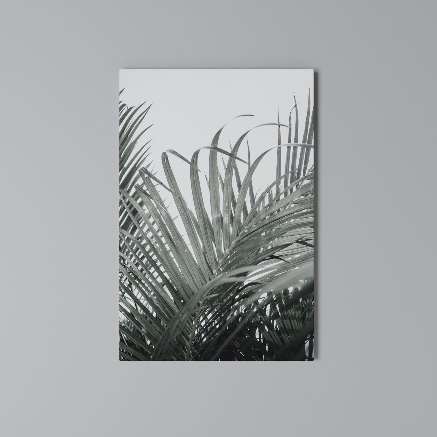 PALM WHISPERS Stampa su Tela Verticale