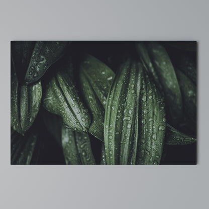LUSH DROPLET DANCE Stampa su tela orizzontale