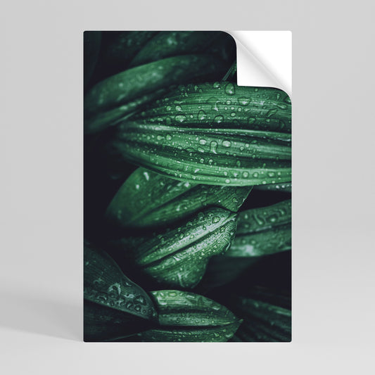 Poster verticale staccabile e attaccabile LUSH DROPLET DANCE
