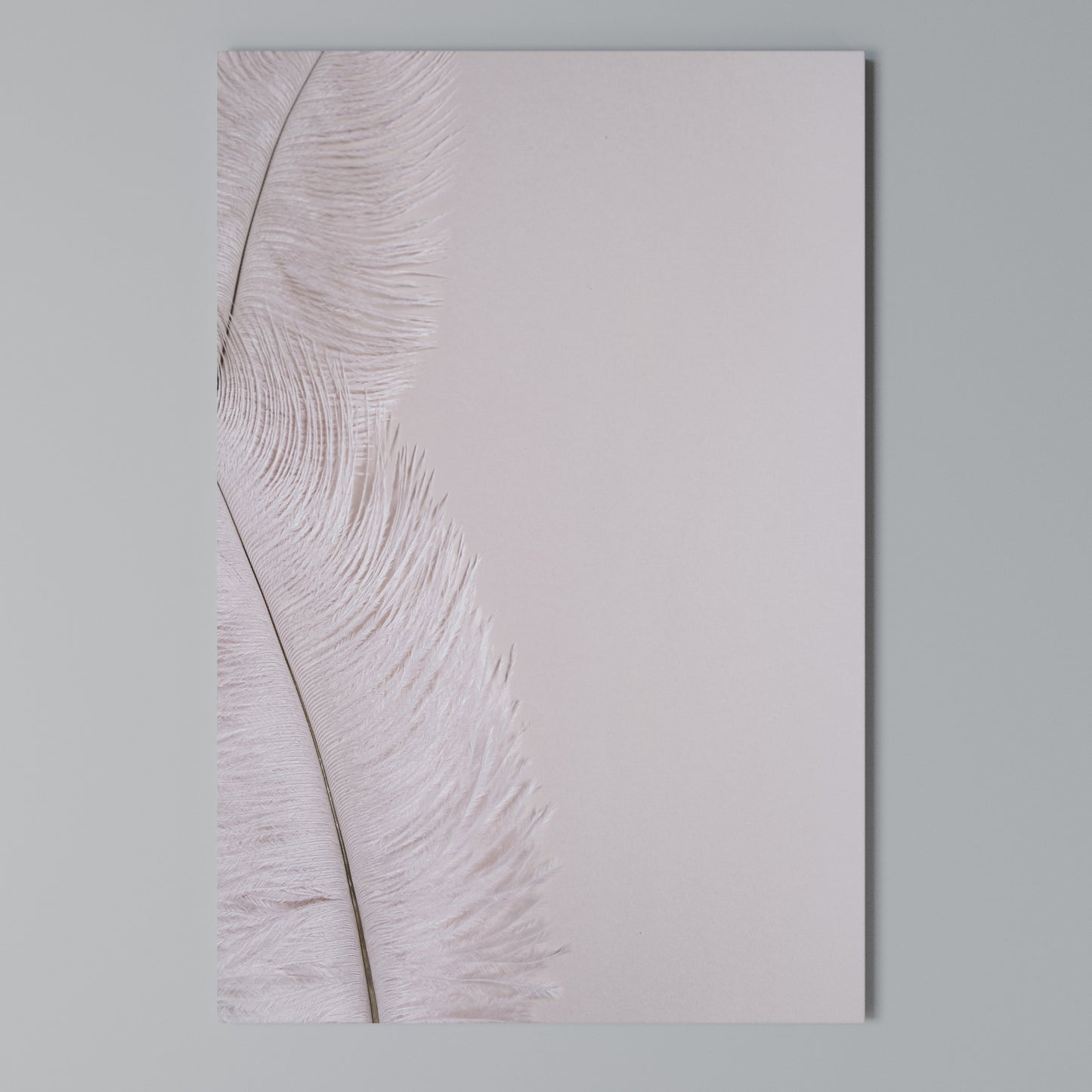 WHISPERING PINK FEATHERS Stampa su Tela Verticale