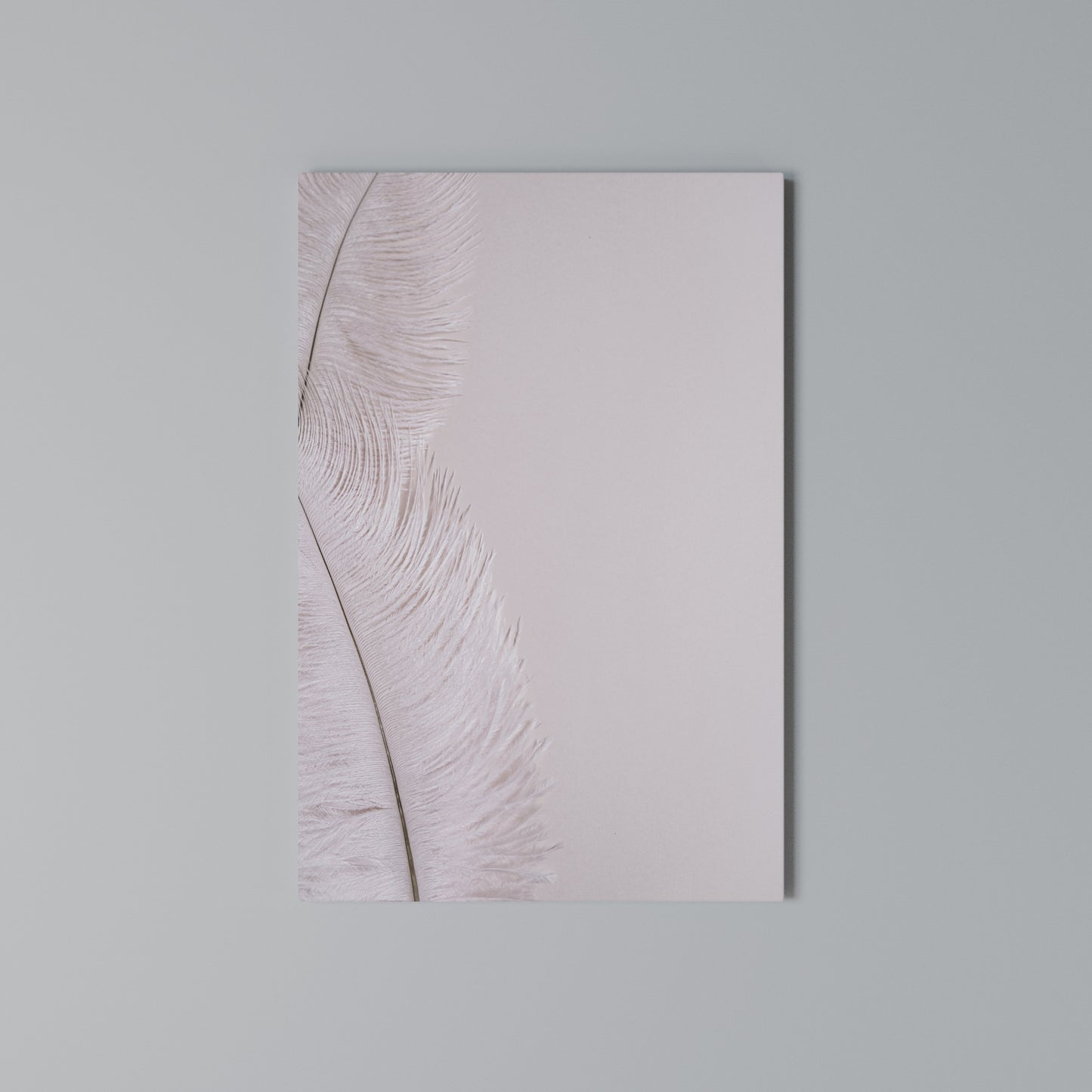 WHISPERING PINK FEATHERS Stampa su Tela Verticale