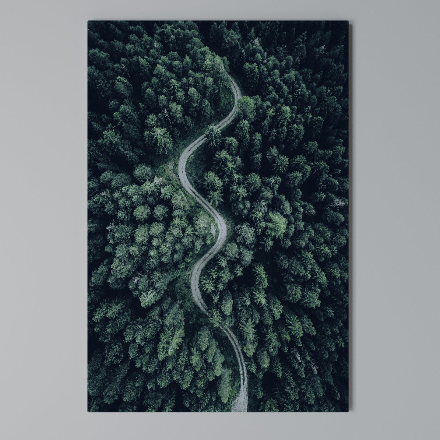FORESTED SERPENTINE ROUTE Stampa su Tela Verticale