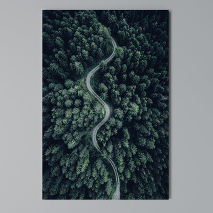 FORESTED SERPENTINE ROUTE Stampa su Tela Verticale