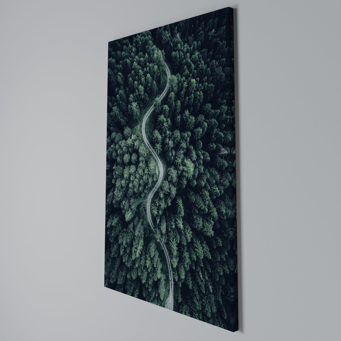 FORESTED SERPENTINE ROUTE Stampa su Tela Verticale