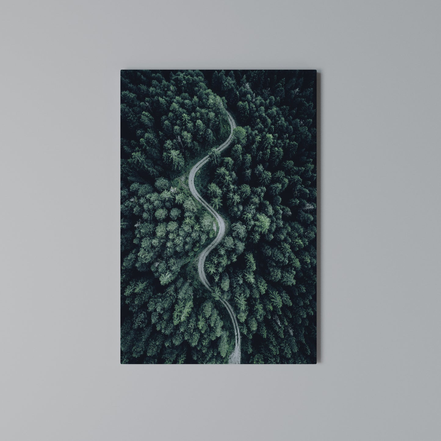 FORESTED SERPENTINE ROUTE Stampa su Tela Verticale