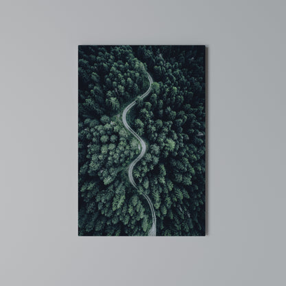 FORESTED SERPENTINE ROUTE Stampa su Tela Verticale