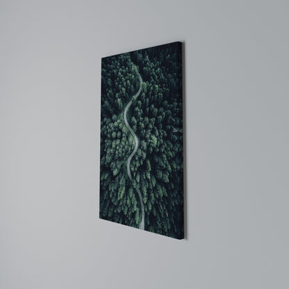FORESTED SERPENTINE ROUTE Stampa su Tela Verticale
