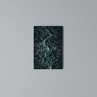 FORESTED SERPENTINE ROUTE Stampa su Tela Verticale
