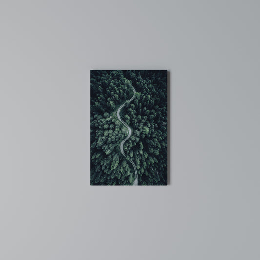 FORESTED SERPENTINE ROUTE Stampa su Tela Verticale
