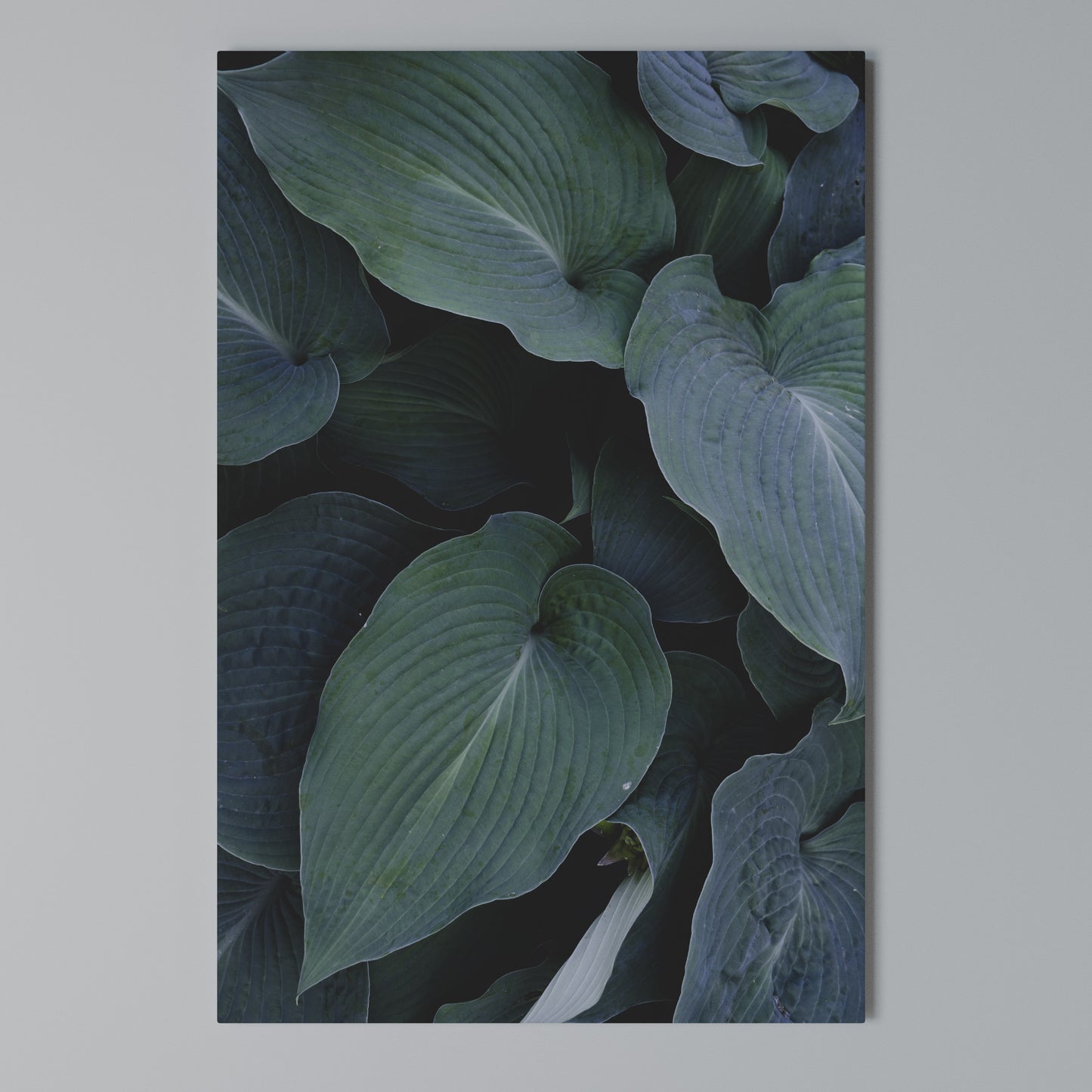 ENCHANTED FOLIAGE DANCE Stampa su Tela Verticale