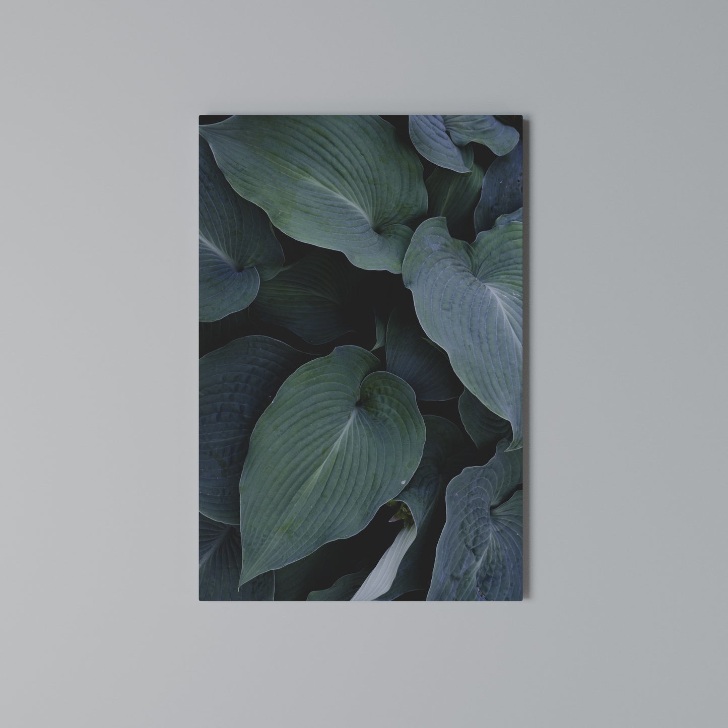 ENCHANTED FOLIAGE DANCE Stampa su Tela Verticale