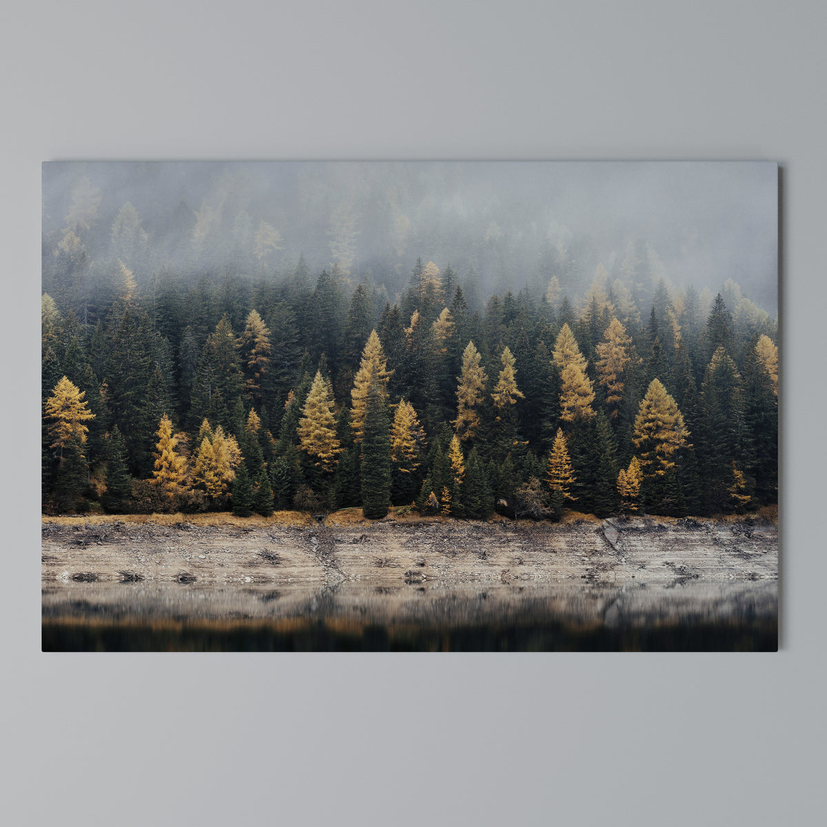 GOLDEN TREES IN FOG Stampa su tela orizzontale