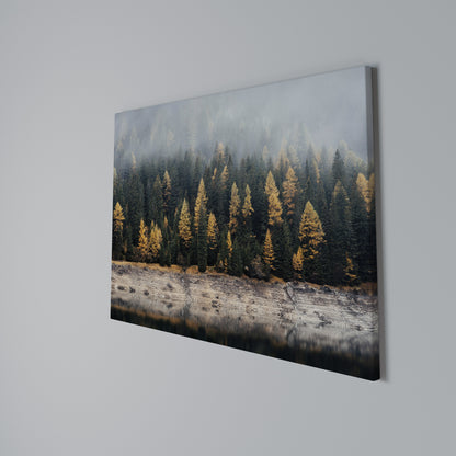 GOLDEN TREES IN FOG Stampa su tela orizzontale
