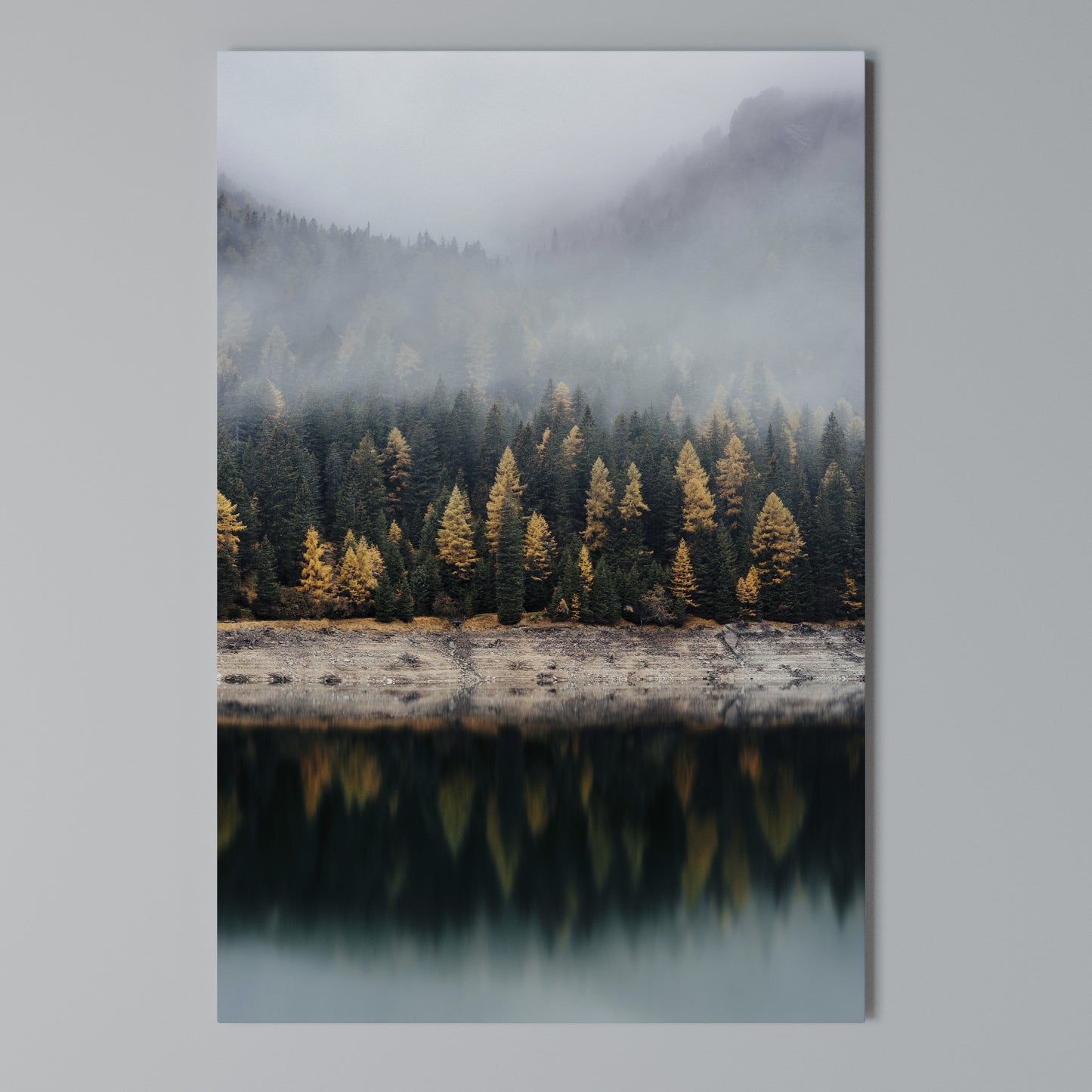 GOLDEN TREES IN FOG Stampa su Tela Verticale