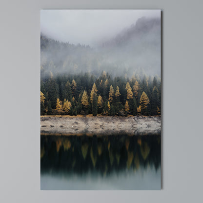 GOLDEN TREES IN FOG Stampa su Tela Verticale