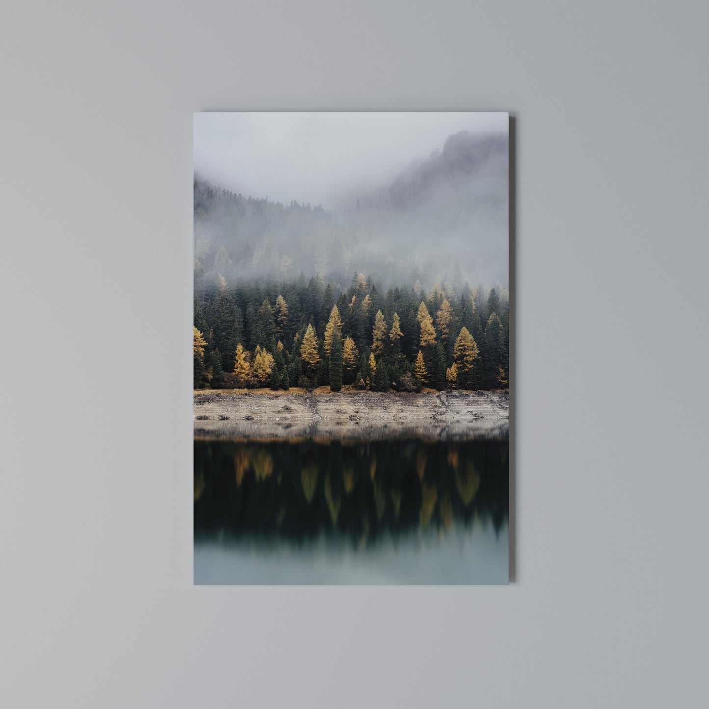 GOLDEN TREES IN FOG Stampa su Tela Verticale
