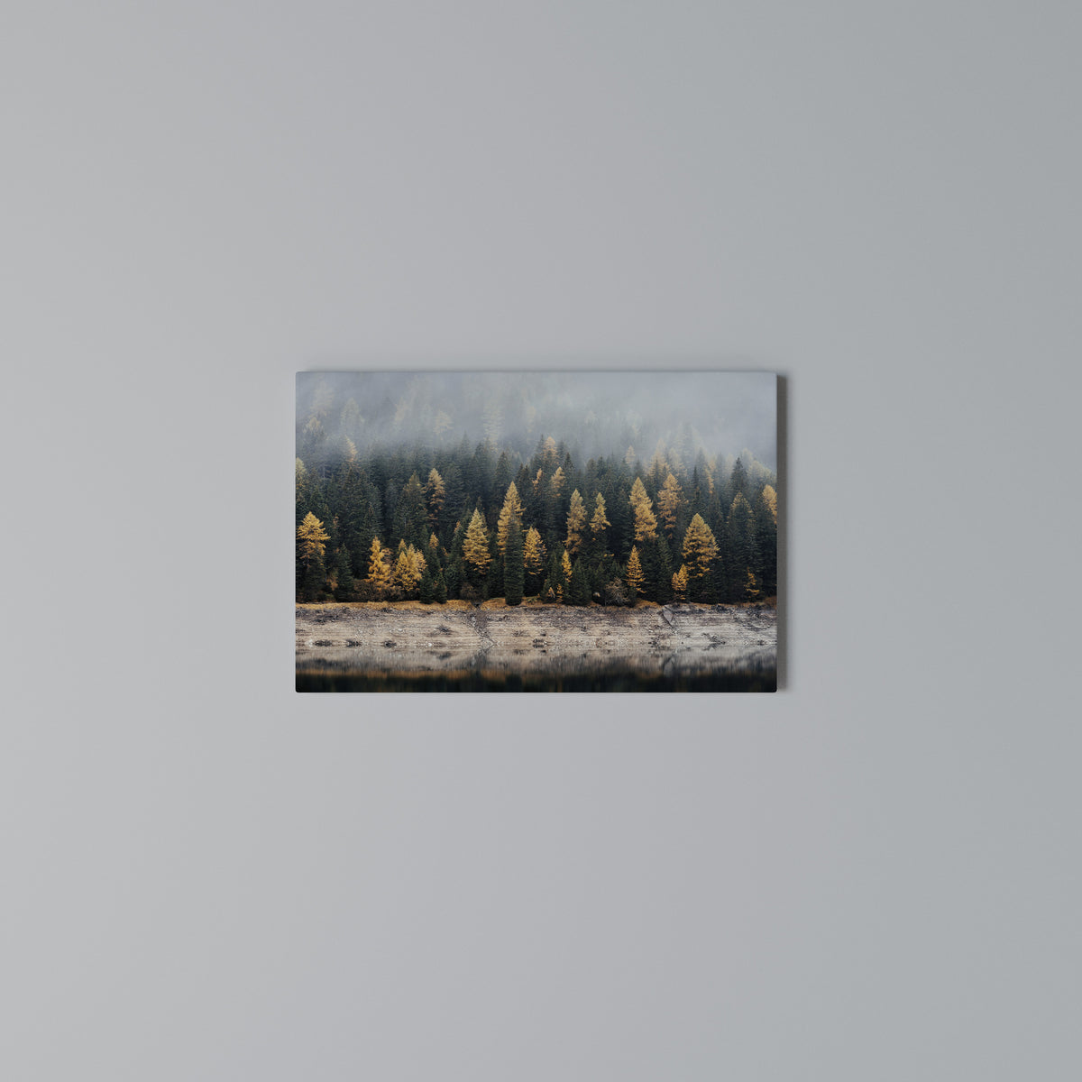 GOLDEN TREES IN FOG Stampa su tela orizzontale