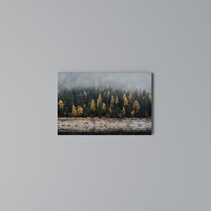 GOLDEN TREES IN FOG Stampa su tela orizzontale