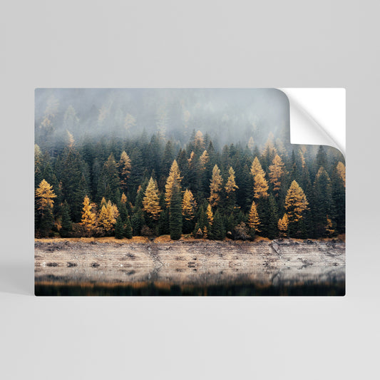 ALBERI DORATI NELLA NEBBIA Poster orizzontale staccabile e attaccabile