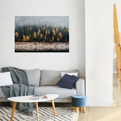 ALBERI DORATI NELLA NEBBIA Poster orizzontale staccabile e attaccabile