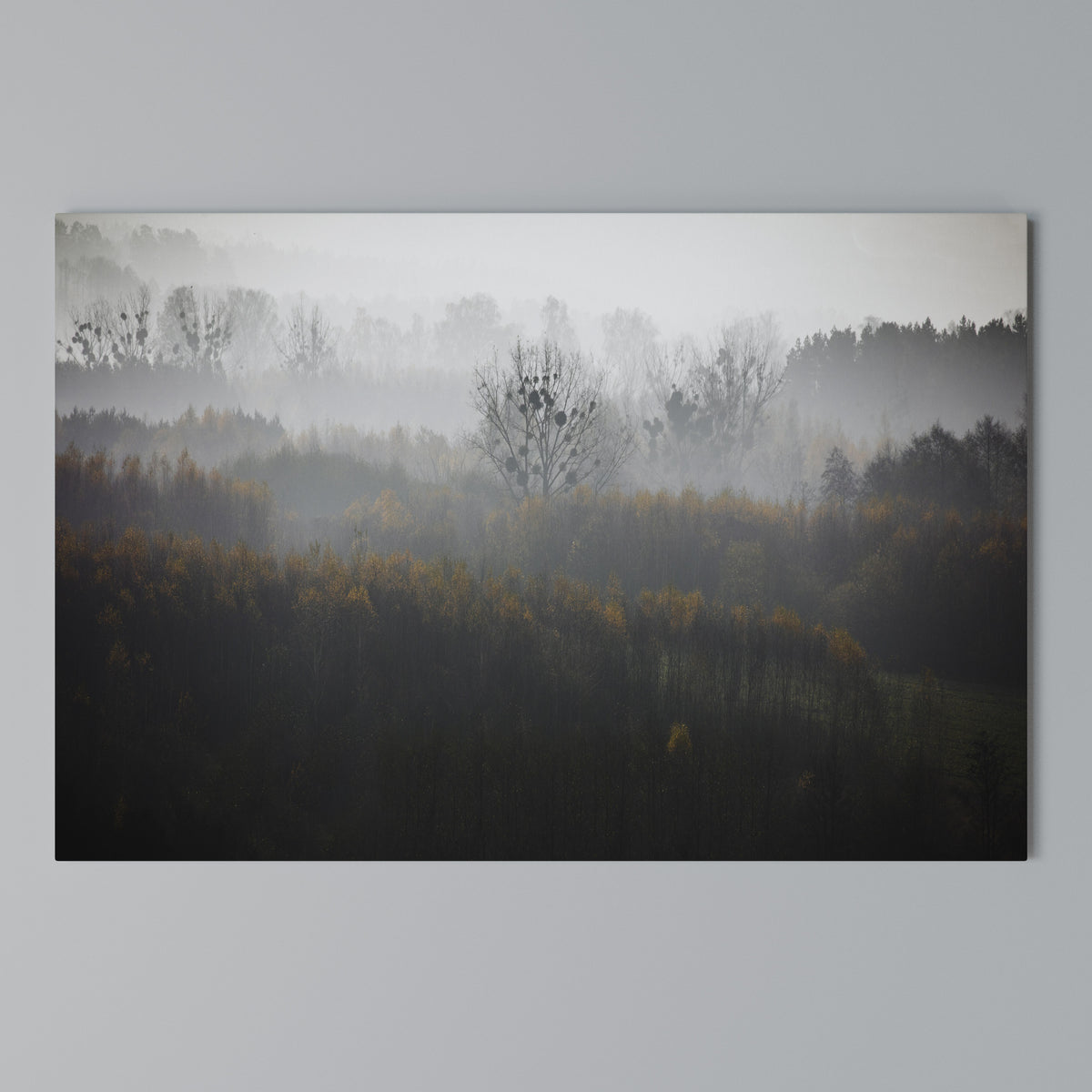 AUTUMNAL HAZE Stampa su tela orizzontale
