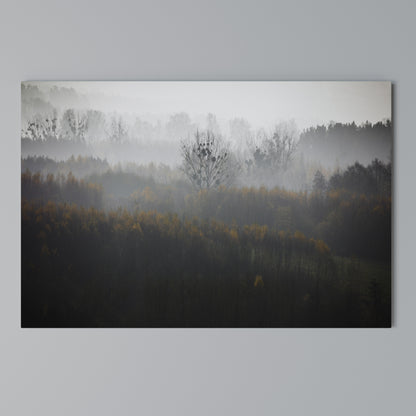 AUTUMNAL HAZE Stampa su tela orizzontale