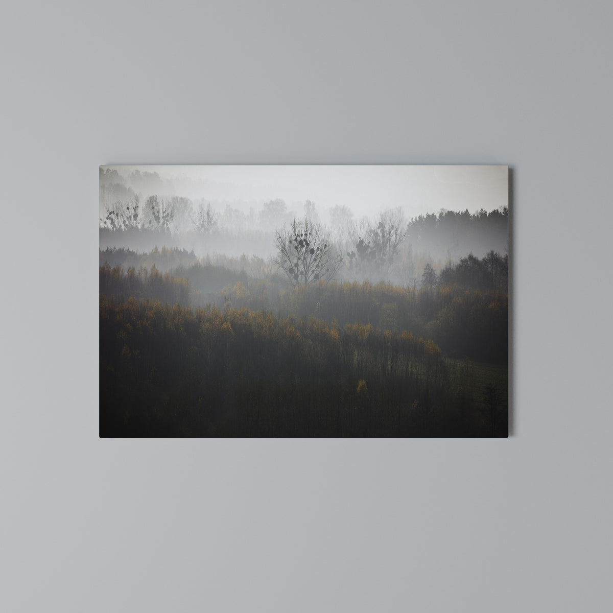 AUTUMNAL HAZE Stampa su tela orizzontale