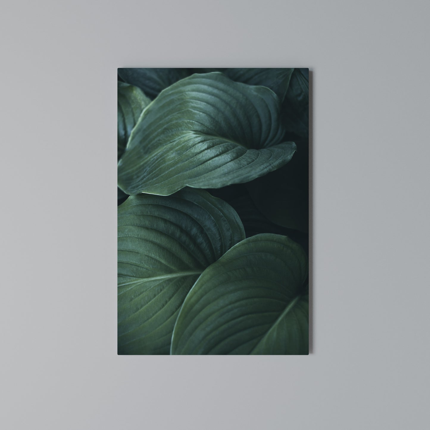 SUBTLE BOTANICAL HUES Stampa su Tela Verticale