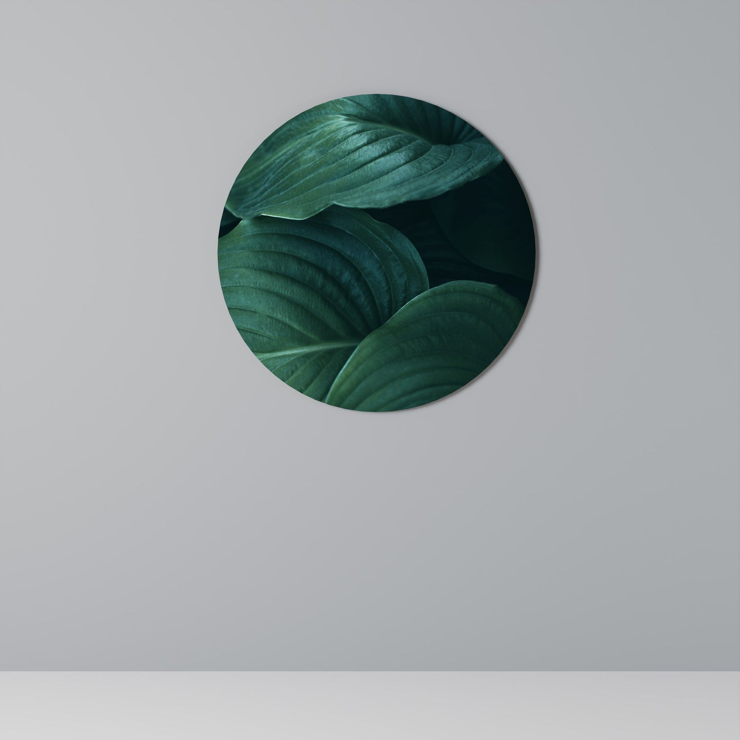 SUBTLE BOTANICAL HUES Round Wall Art