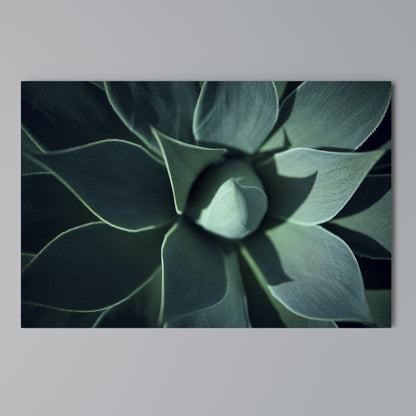 MYSTICAL GREEN WHORL Stampa su tela orizzontale