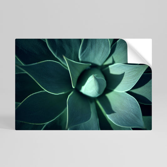 Poster orizzontale staccabile e attaccabile MYSTICAL GREEN WHORL