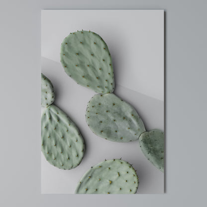 CACTUS DREAMSCAPE Stampa su Tela Verticale