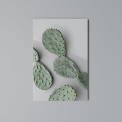 CACTUS DREAMSCAPE Stampa su Tela Verticale