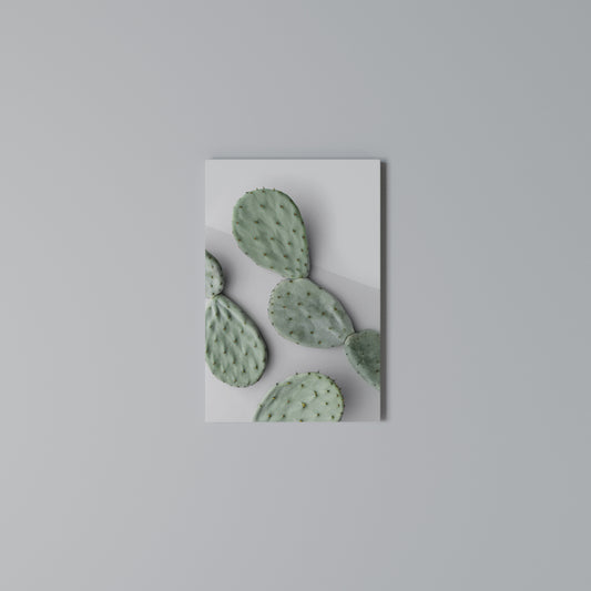 CACTUS DREAMSCAPE Stampa su Tela Verticale