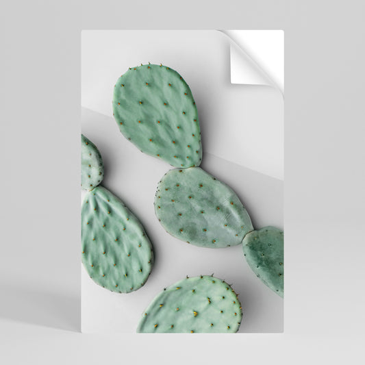 CACTUS DREAMSCAPE Poster verticale staccabile e attaccabile