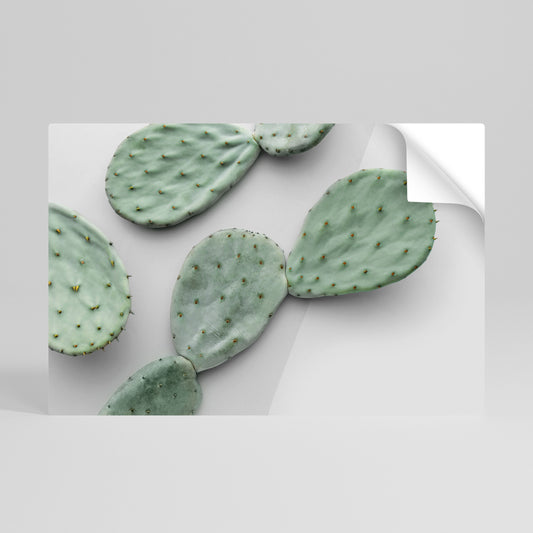 CACTUS DREAMSCAPE Poster orizzontale staccabile e attaccabile