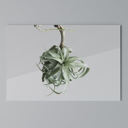 TANGLE OF NATURE Horizontal Canvas Print