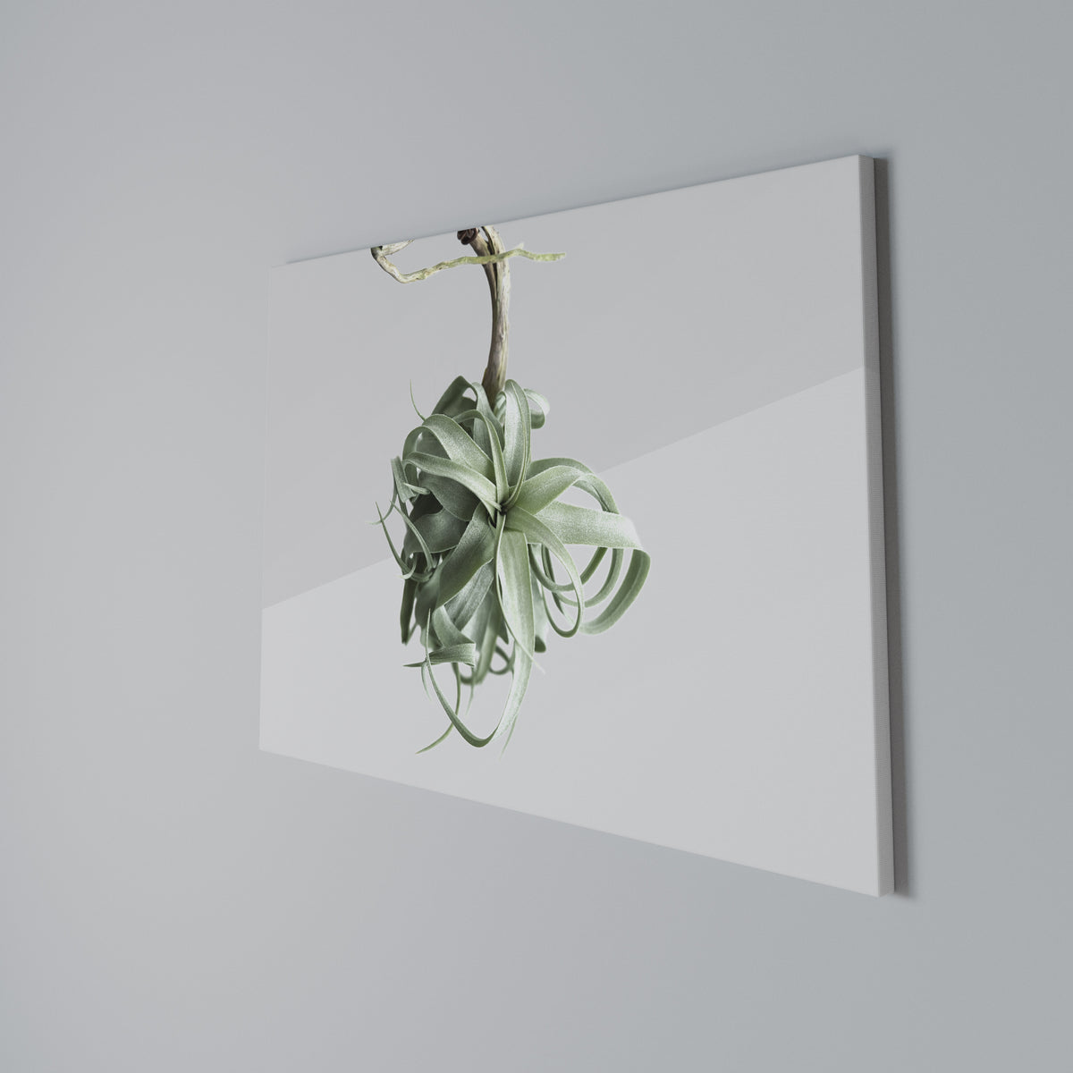 TANGLE OF NATURE Horizontal Canvas Print