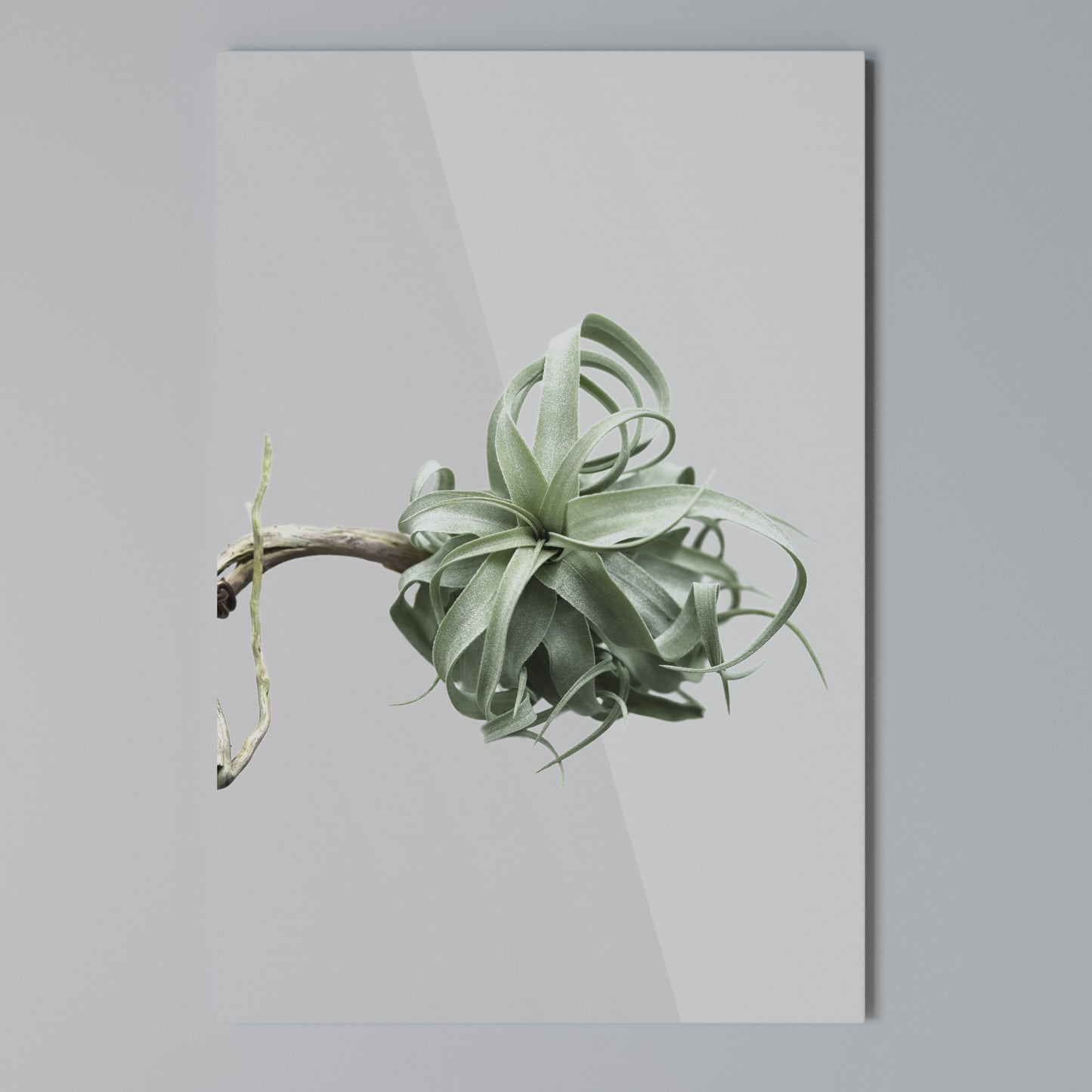 TANGLE OF NATURE Stampa su Tela Verticale