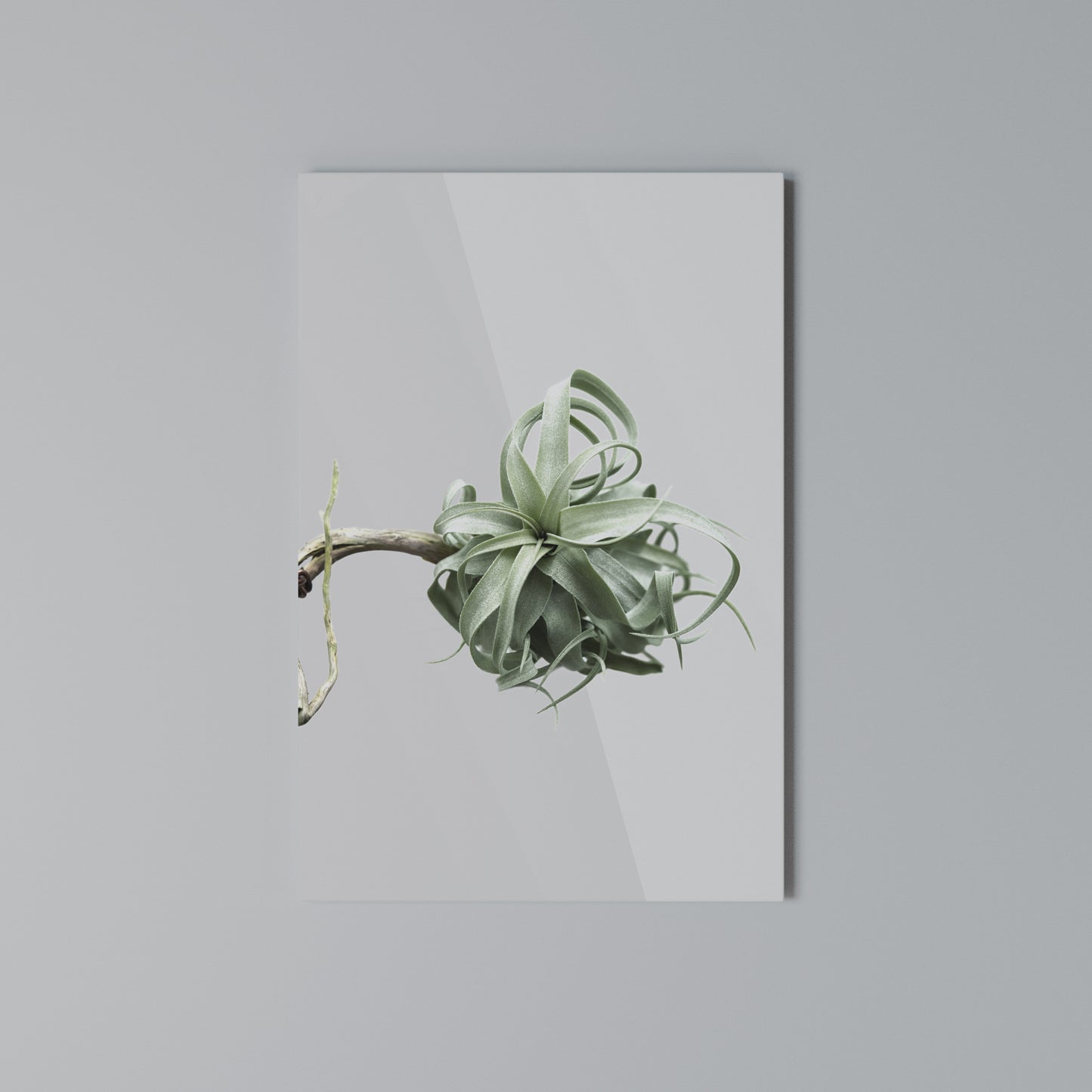 TANGLE OF NATURE Stampa su Tela Verticale