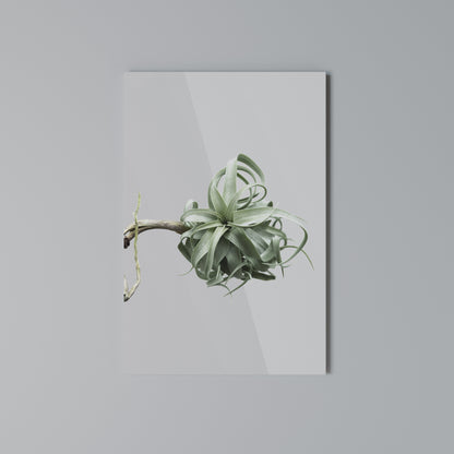 TANGLE OF NATURE Stampa su Tela Verticale