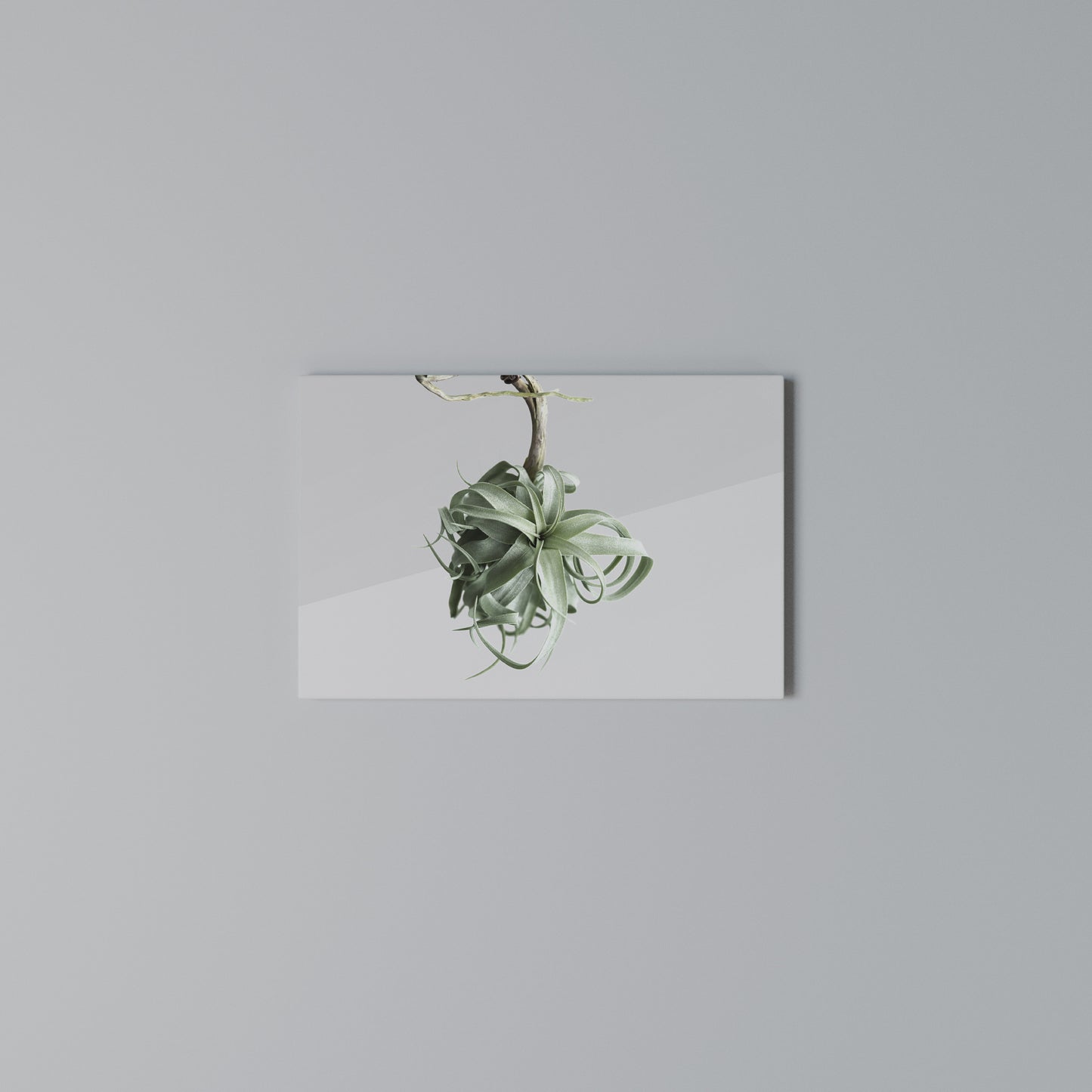 TANGLE OF NATURE Horizontal Canvas Print